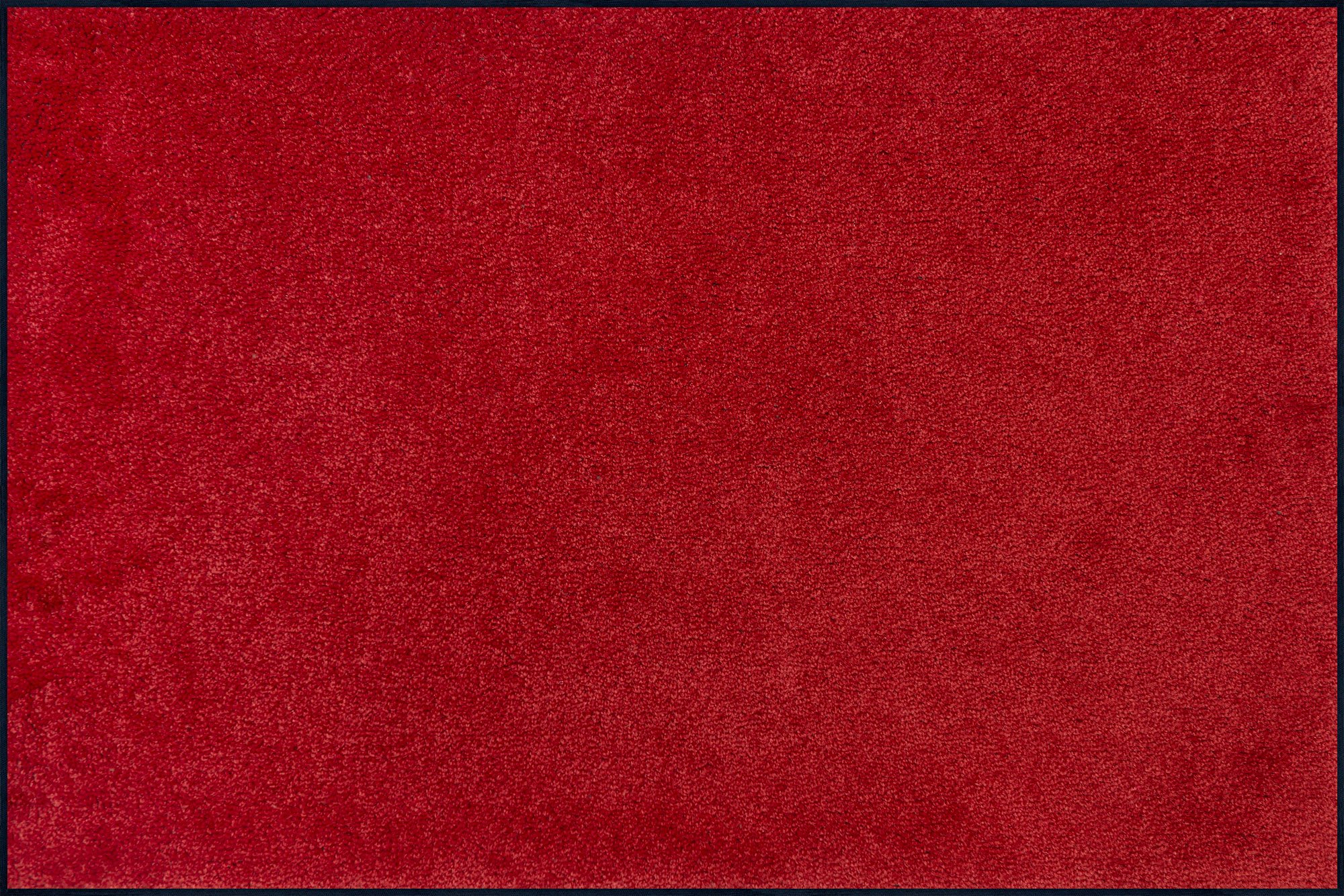 wash+dry Fussmatte Wohnteppich Regal Red 120x180 4032445036302