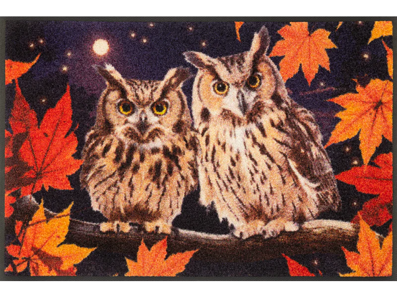 wash+dry Fussmatte Night Owls 50x75 9010216073362