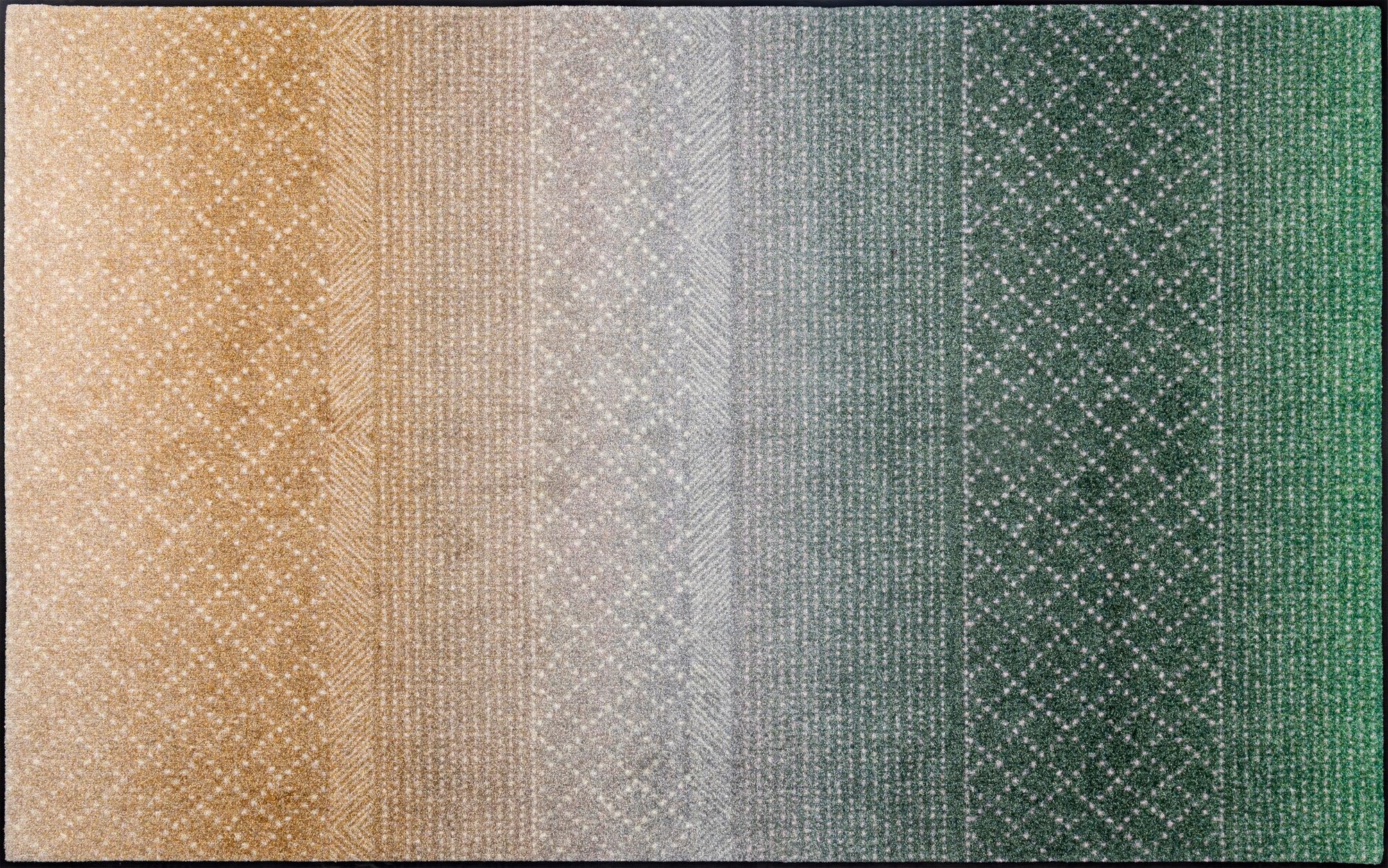 wash+dry Fussmatte Wohnteppich Green Desert 115x175 9010216065169