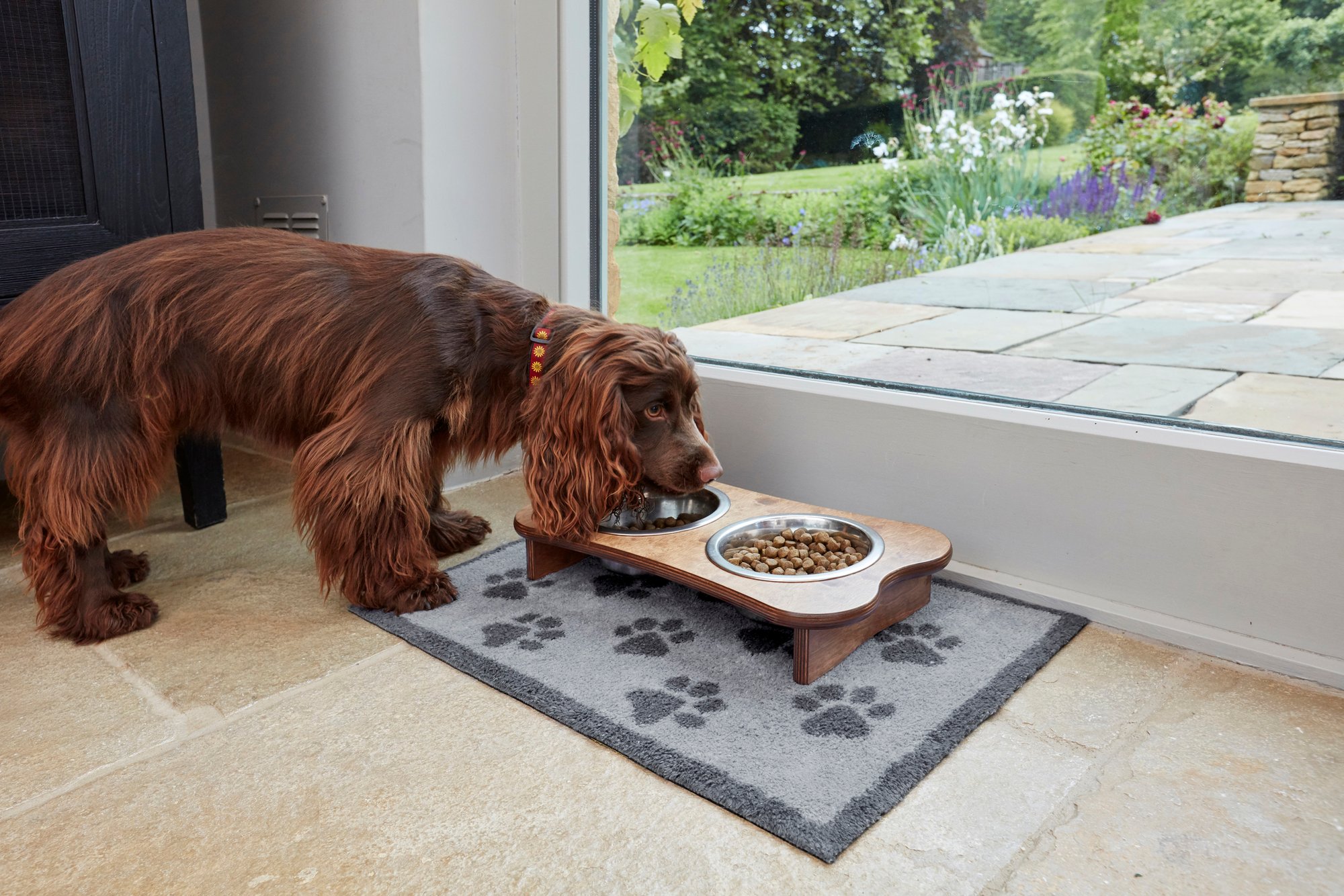 wash+dry Eingangsmatte Turtle Mat Fussmatte Paws Grey 40x60 5060025368900
