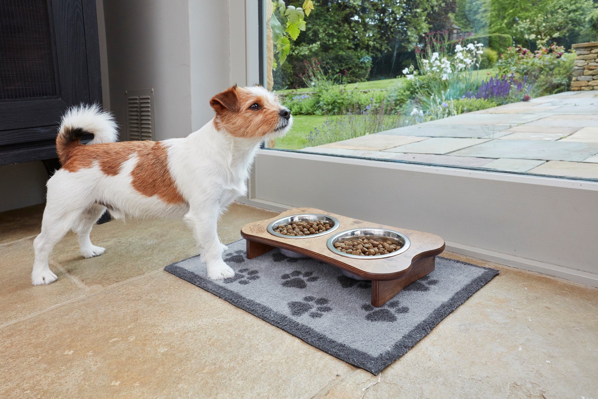 wash+dry Fussmatte Turtle Mat Fussmatte Paws Grey 40x60 5060025368900