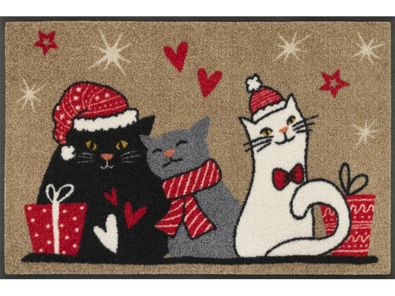 wash+dry Fussmatte Cuddle Time 50x75 9010216064667