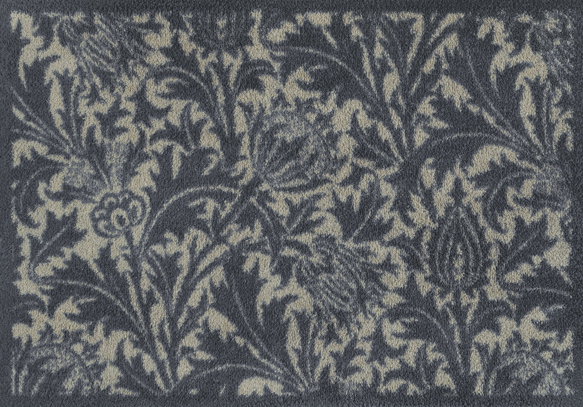 wash+dry Eingangsmatte Turtle Mat Fussmatte Thistle Blue & Gold 60x85 5060025365442