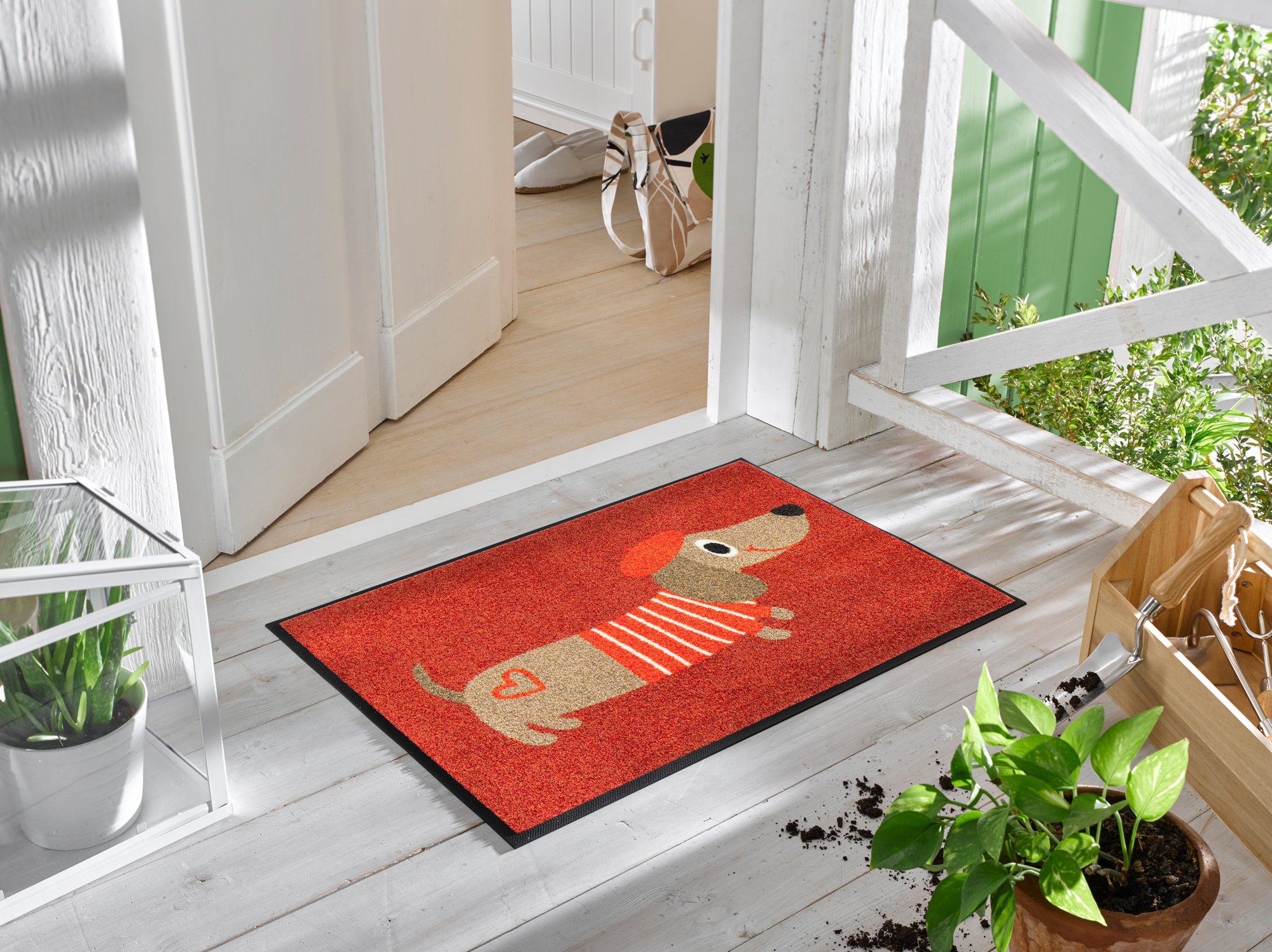 wash+dry Fussmatte Monsieur Chien 50x75 9010216079142