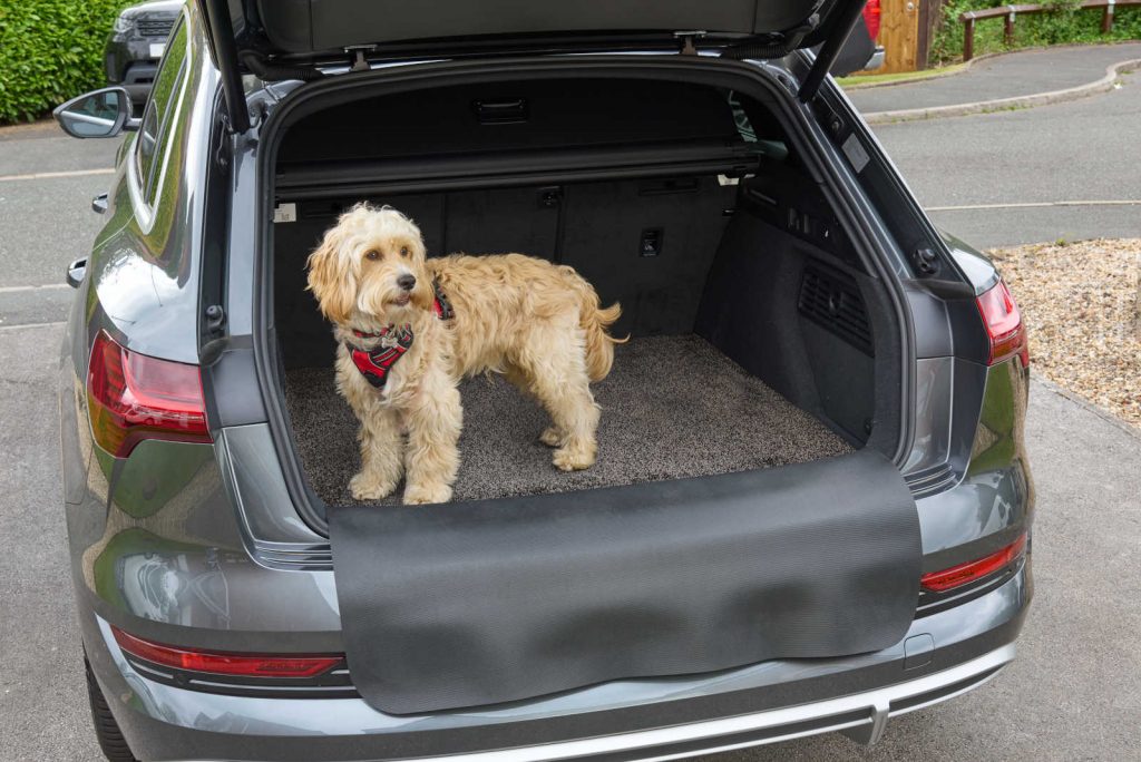 Kleen-Car-PREMIUM-Car-Boot-and-Bumper-Protector-Mat_110x130cm_05_9010216062663+9010216062687_MILIEU (7)