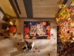 Night-Owls_50x75cm_05_9010216073362_MILIEU_800x600 (1).webp