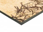 Squirry_50x75cm_04_9010216073409_ECKDETAIL_800x600.webp
