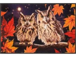 Night-Owls_50x75cm_02_9010216073362_DRAUFSICHT_800x600.webp