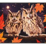 Night-Owls_50x75cm_02_9010216073362_DRAUFSICHT_800x600.webp