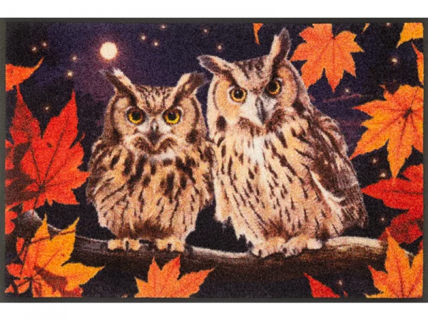 Night-Owls_50x75cm_02_9010216073362_DRAUFSICHT_800x600.webp