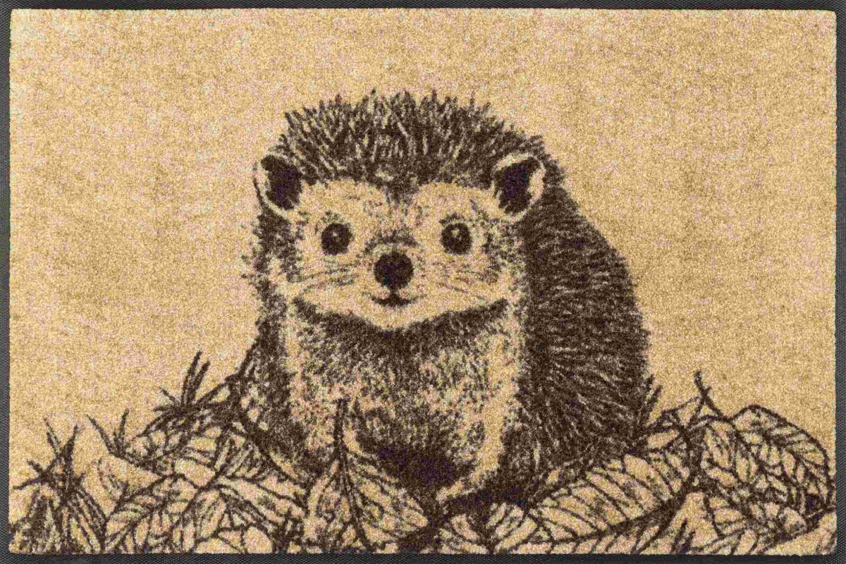 Hedgy_50x75cm_02_9010216073287_DRAUFSICHT_kl