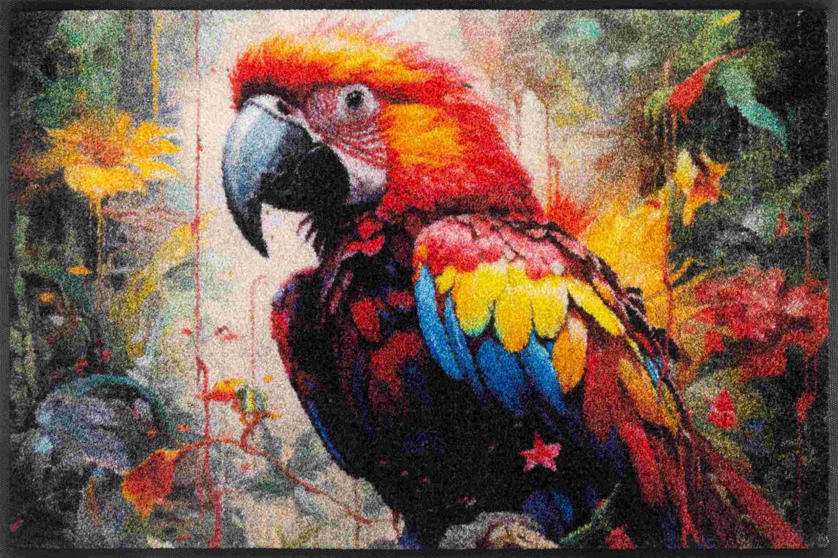 Parry-McParrot_50x75cm_02_9010216075069_DRAUFSICHT_kl