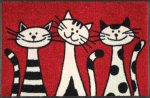 C:UsersAdminDesktopFMF-JTL-EXportProducts_newThree-Cats_50x75cm_02_4032445030812_M71156_DRAUFSICHT_kl.jpg