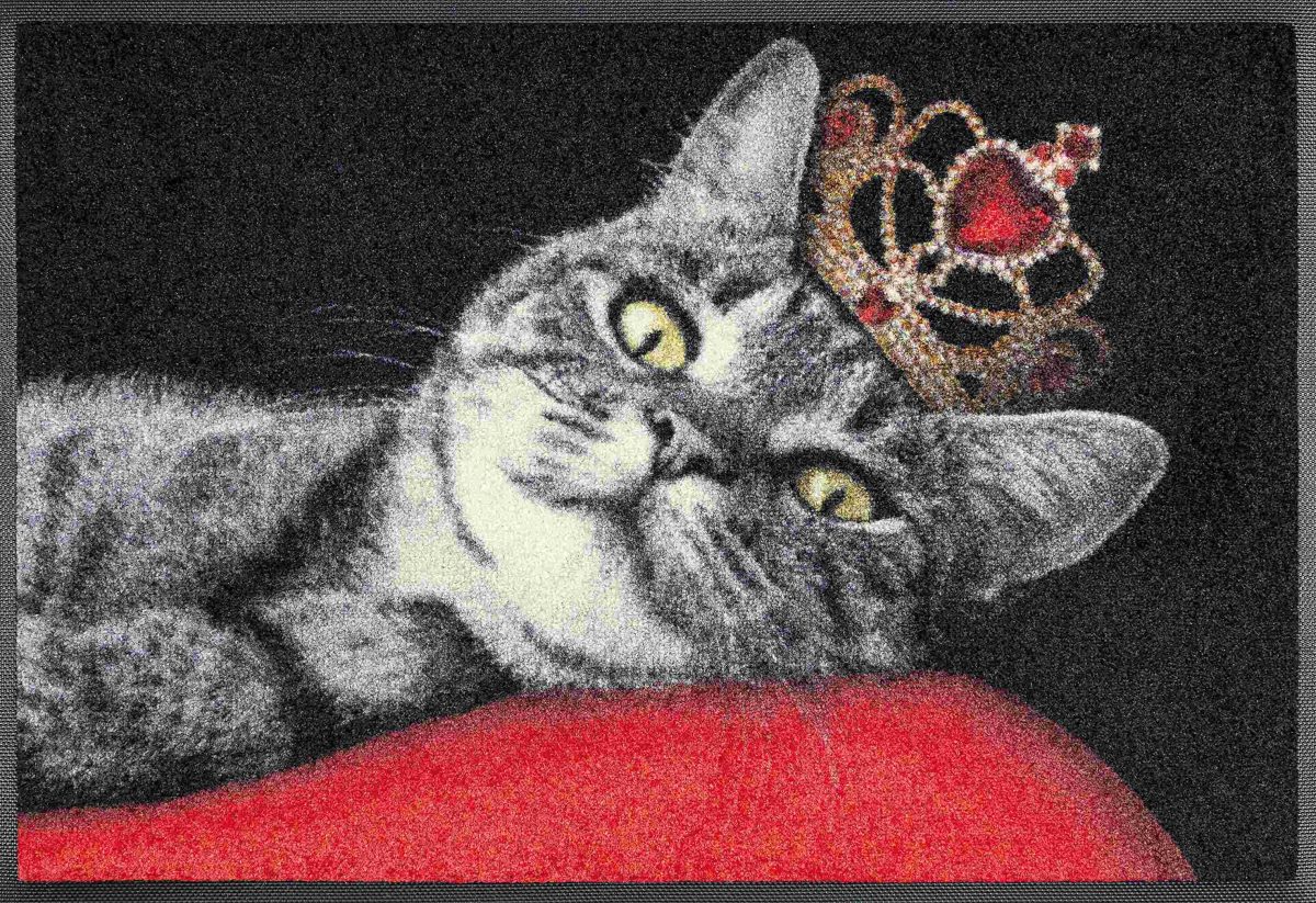 C:UsersAdminDesktopFMF-JTL-EXportProducts_newRoyal-Cat_50x75cm_02_4032445078760_HD03731_DRAUFSICHT_kl.jpg