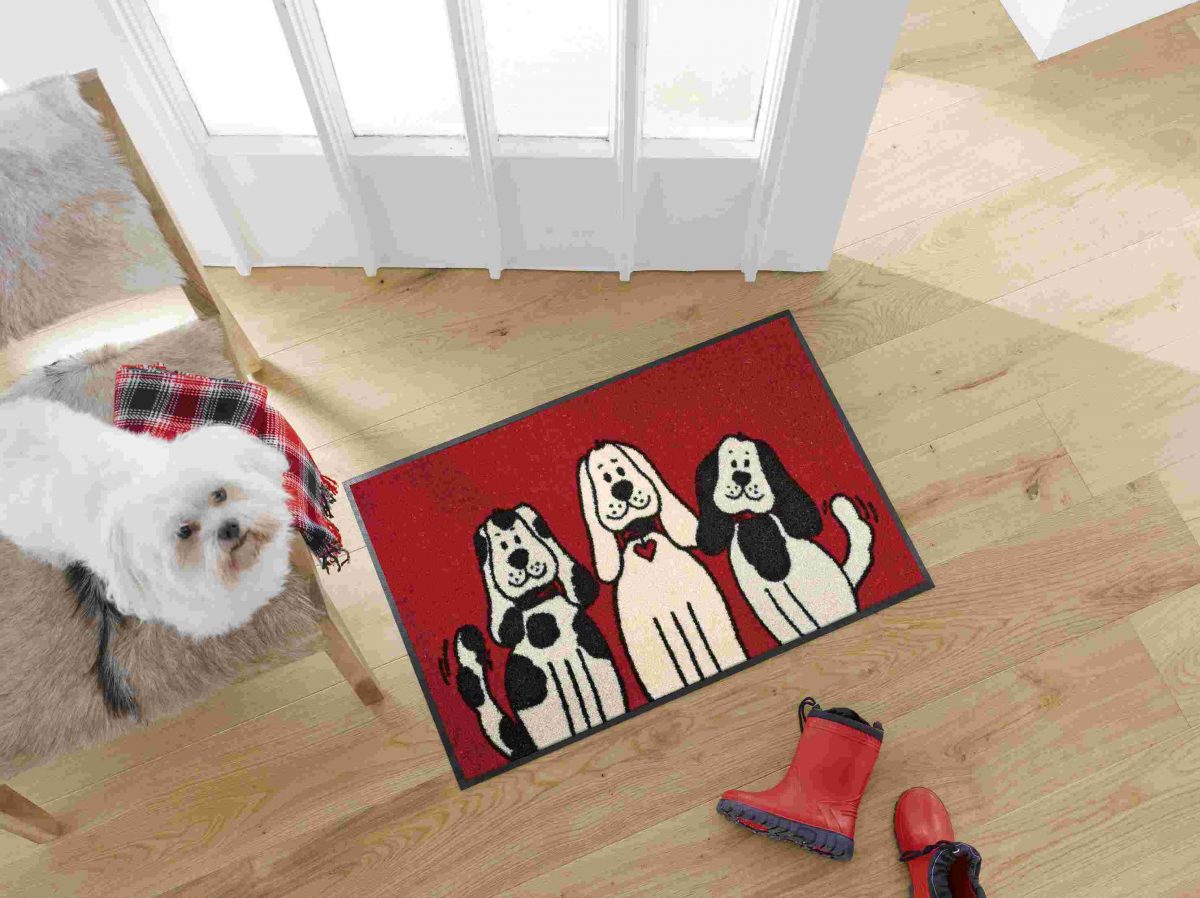 Three-Dogs_50x75cm_05_4032445030805_MILIEU_kl
