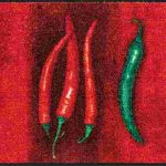 C:UsersAdminDesktopFMF-JTL-EXportProducts_newHot-Chilli_60x180cm_02_4032445031215_M71248_DRAUFSICHT_kl.jpg