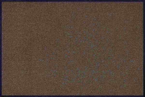 C:UsersAdminDesktopFMF-JTL-EXportProducts_newMono_Trend-Colour_Brown_60x90cm_02_4032445022398_DRAUFSICHT_kl.jpg