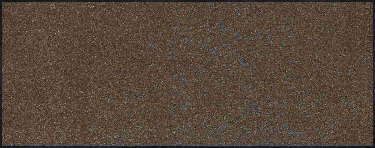 C:UsersAdminDesktopFMF-JTL-EXportProducts_newMono_Trend-Colour_Brown_75x190cm_02_4032445022428_DRAUFSICHT_kl.jpg