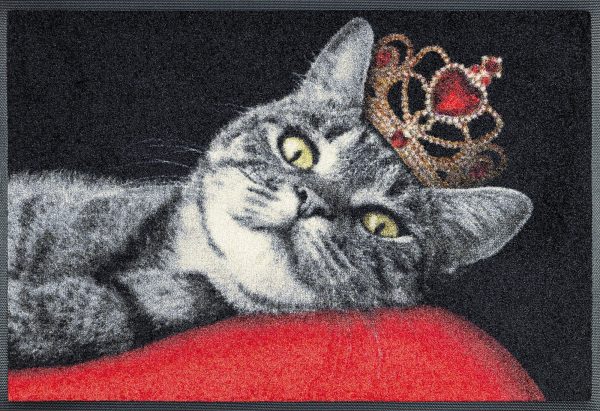 C:UsersAdminDesktopFMF-JTL-EXportProducts_newRoyal-Cat_50x75cm_02_4032445078760_HD03731_DRAUFSICHT_kl.jpg