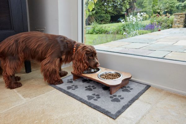 turtle-mat-fussmatte-paws-grey-40x60-5060025368900-2